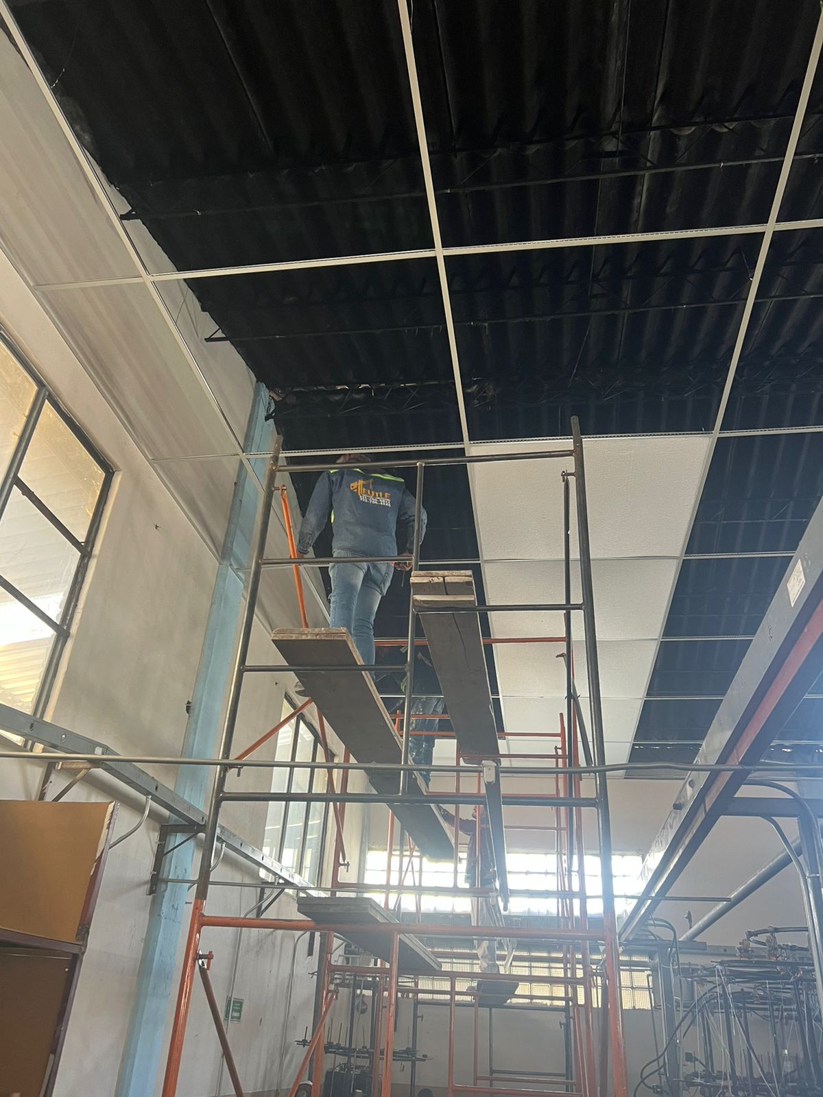 Imagen de trabajo Teutle 29